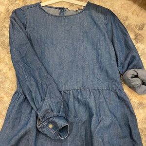 Ann Taylor Loft Long Sleeve Top XS Denim Blue Ruffle Scoop Neck Button Up Back